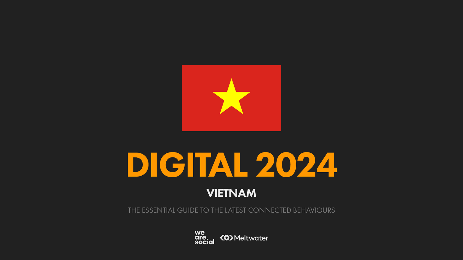vietnam digital